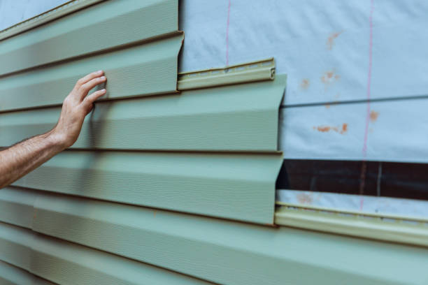 Best Siding Removal and Disposal  in Altoona, WI